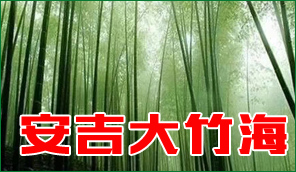 安吉農(nóng)家樂